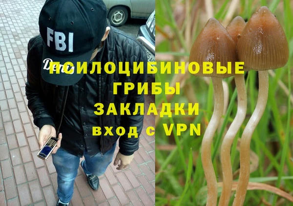 прущие грибы Алексеевка