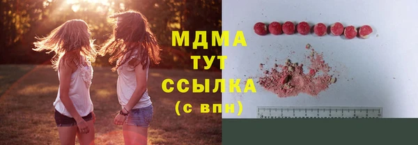 прущие грибы Алексеевка