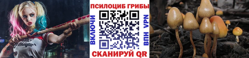 Псилоцибиновые грибы Magic Shrooms  наркошоп  Долинск 
