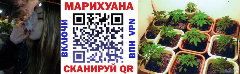 Бошки Шишки OG Kush Долинск